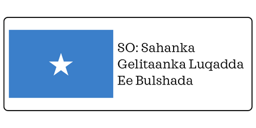 Somali Language Access Survey